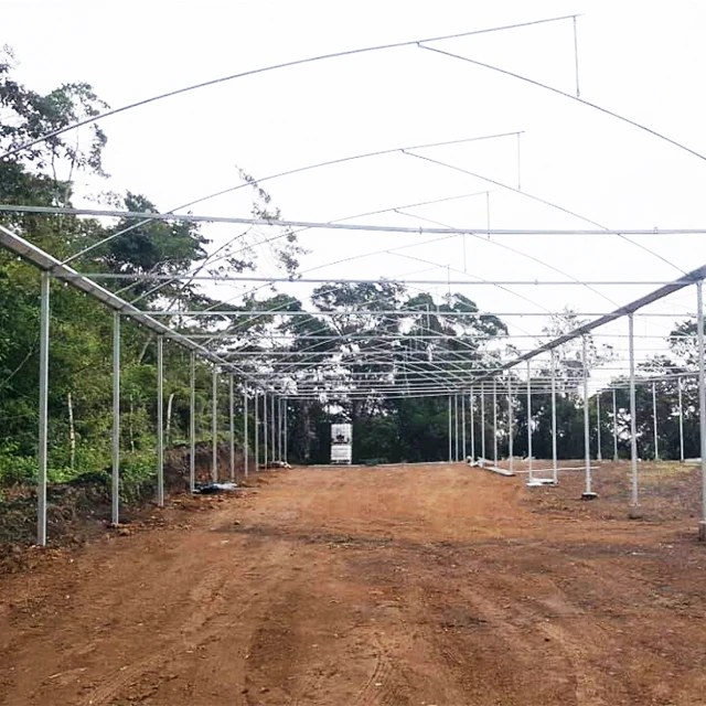 Automatic roof vents greenhouse for agriculture