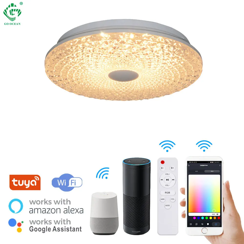 Modern Night Light Rgb Lamp Tuya Wifi Smart Round Ceiling Light Living Room Bedroom Ceiling Lamp