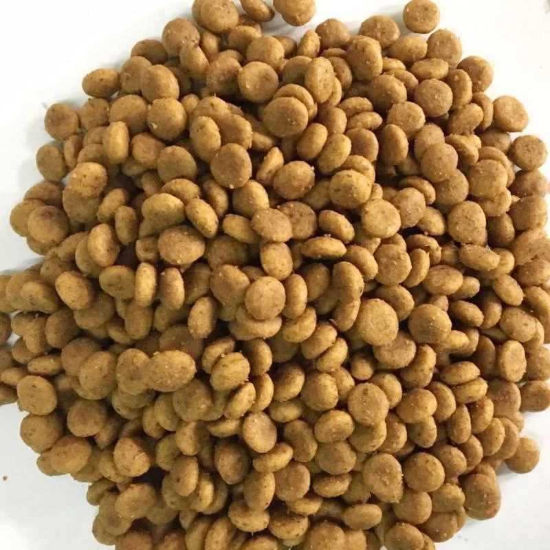 
dog food 