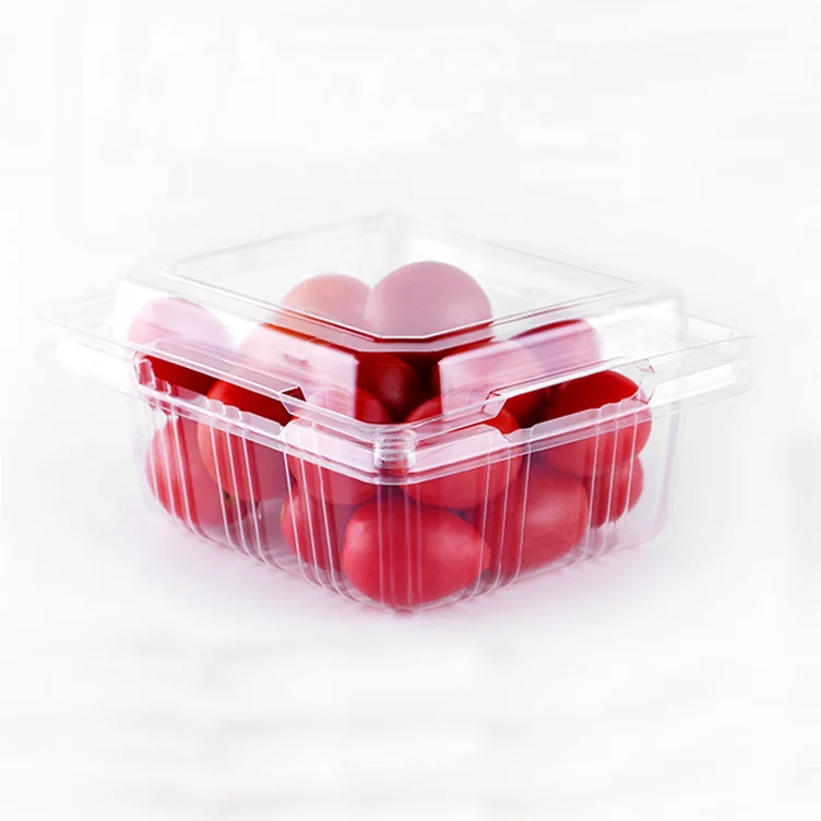 Free sample disposable clear fruit tray biodegradable plastic container clamshell fruit packaging box