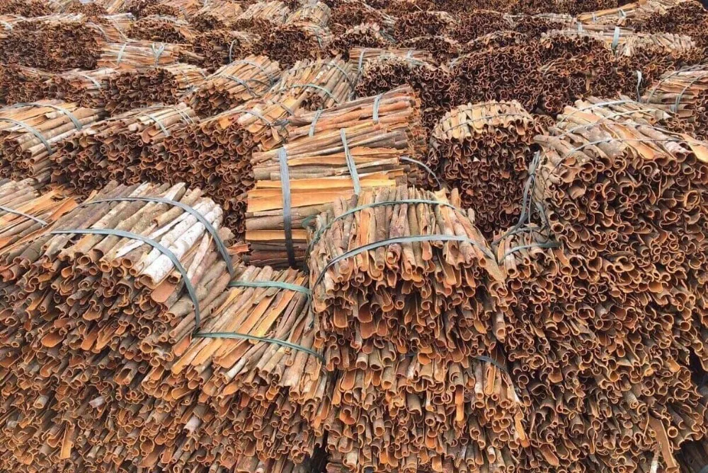 VIETNAM CINNAMON STICK best PRICE CINNAMON/CASSIA AND SPLIT CASSIA