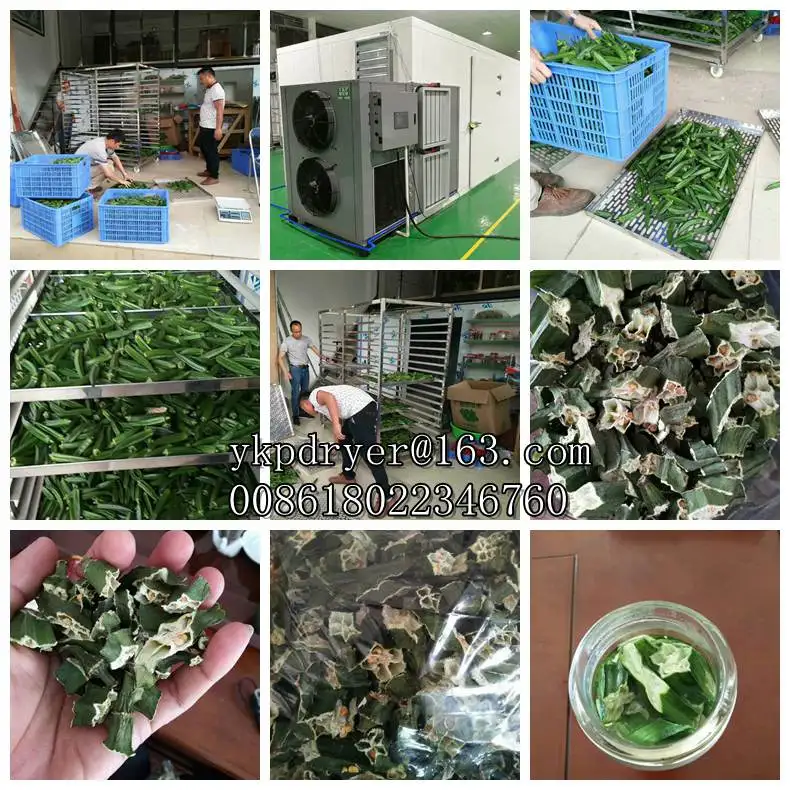 Good quality Machine for drying sea food machinery to dry mushroom meat dryer