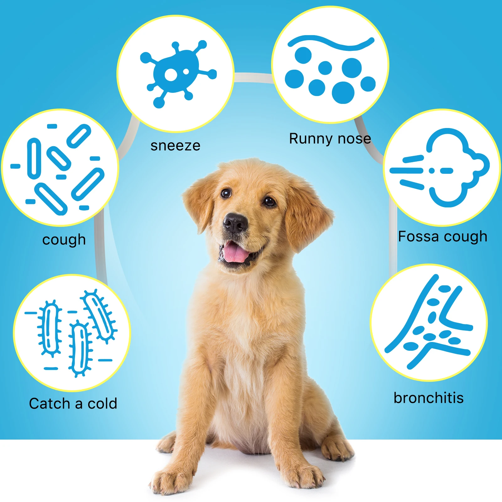 Oimmal Natural Organic Dry and Wet Cough Wheezing Liquid Supplements Kennel Cough Treatment Drops for Dogs