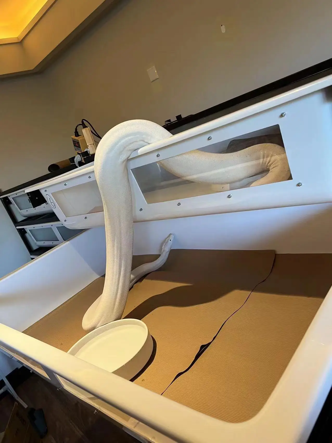 PVC Reptile Enclosure Snake Rack Supplies Terrarium Hide cages Display Case Tank Feeding Tubs Box Serpent System