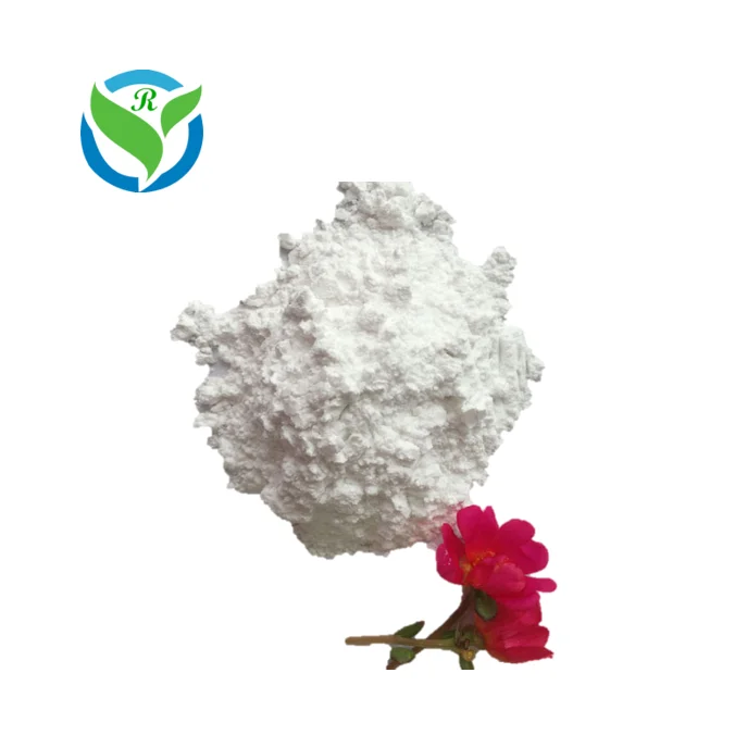 
loss weight/2020 best hot selling products CAS 1126-71-2 n-phenethyl dimethylamine 