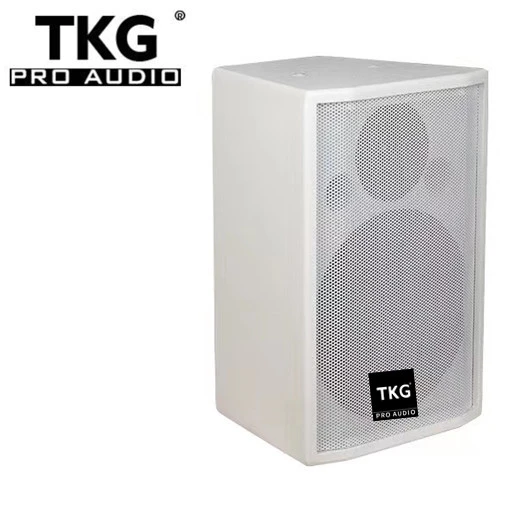 TKG 100watt 100W  conference meeting speaker A8 8 inch speaker bass