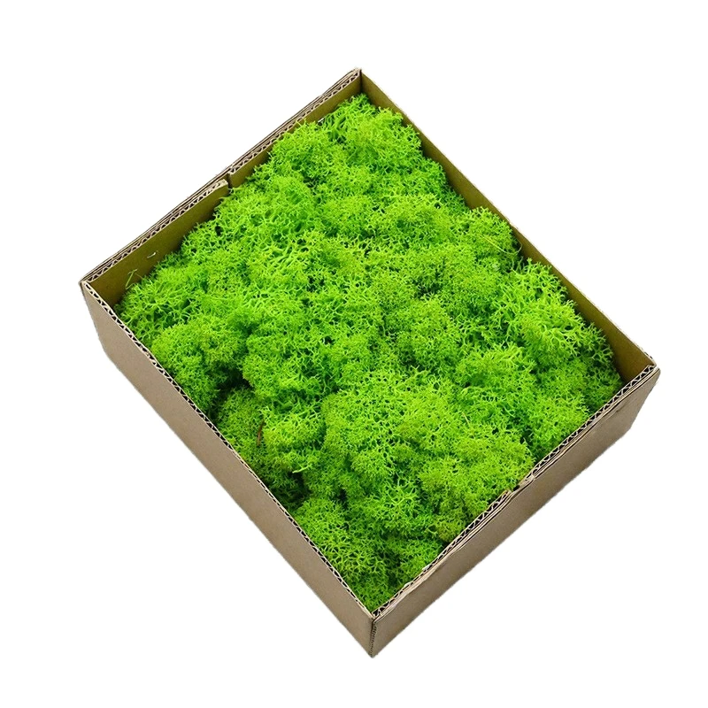 wholesale preserved flowers and plants natural real moss wall art green stabilized reindeer preserved moss wall for decor