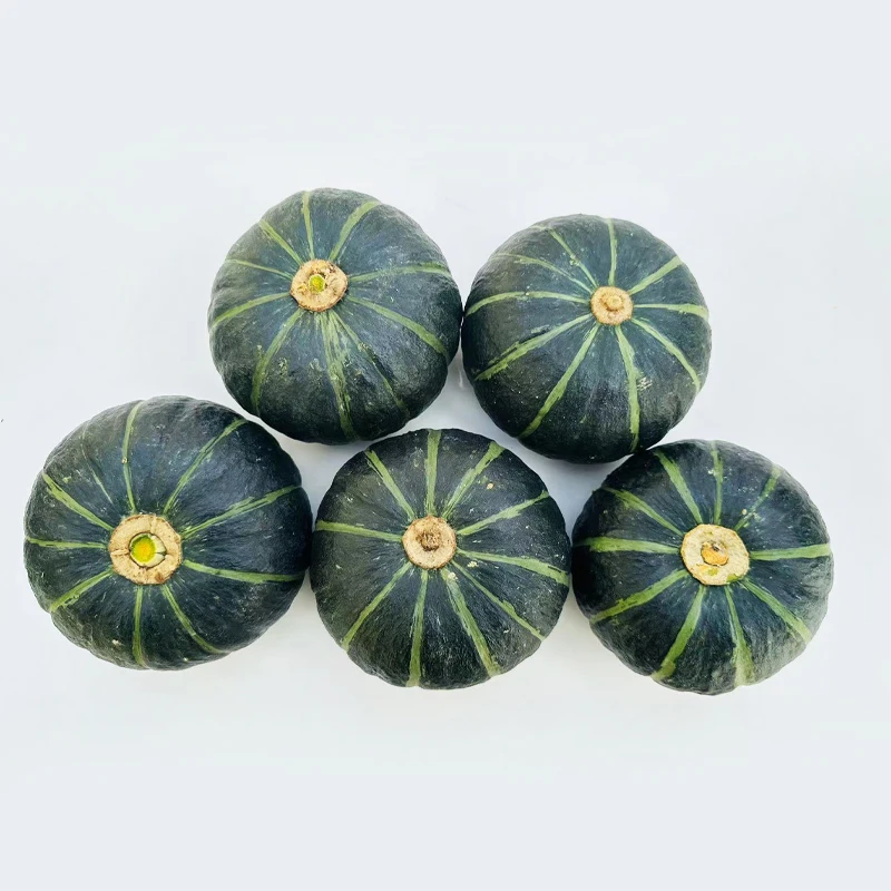 High Quality Cheap Freshly Picked Pumpkin Lot With Quick Preservation Methods