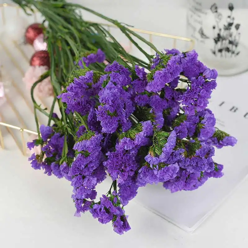 
hot sale 2020 Natural preserved flower Forget Me not Dried Myosotis Flower For Girlfriend Eternal flower 