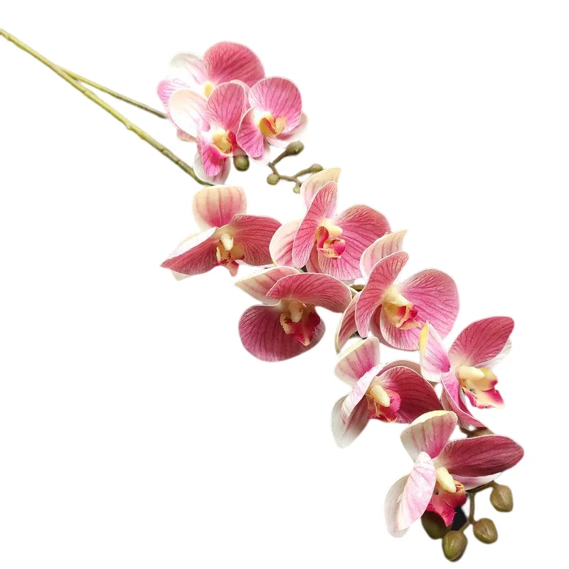 Faux Flower Plants 3D Printing 10 Heads White Orchid Artificial Phalaenopsis Butterfly Orchid