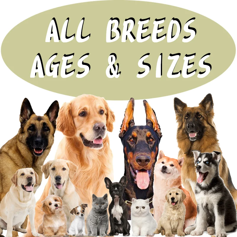 Customization Dog Allergy Supplement Private Label Pet Nutritional Soft Chews Dog Allergy Supplement