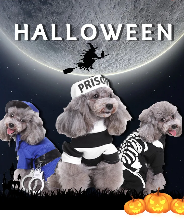 Dog clothing Cross border Halloween costume Christmas costume pumpkin turned wizard Puppy costume