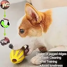 Игрушка овальная для собак