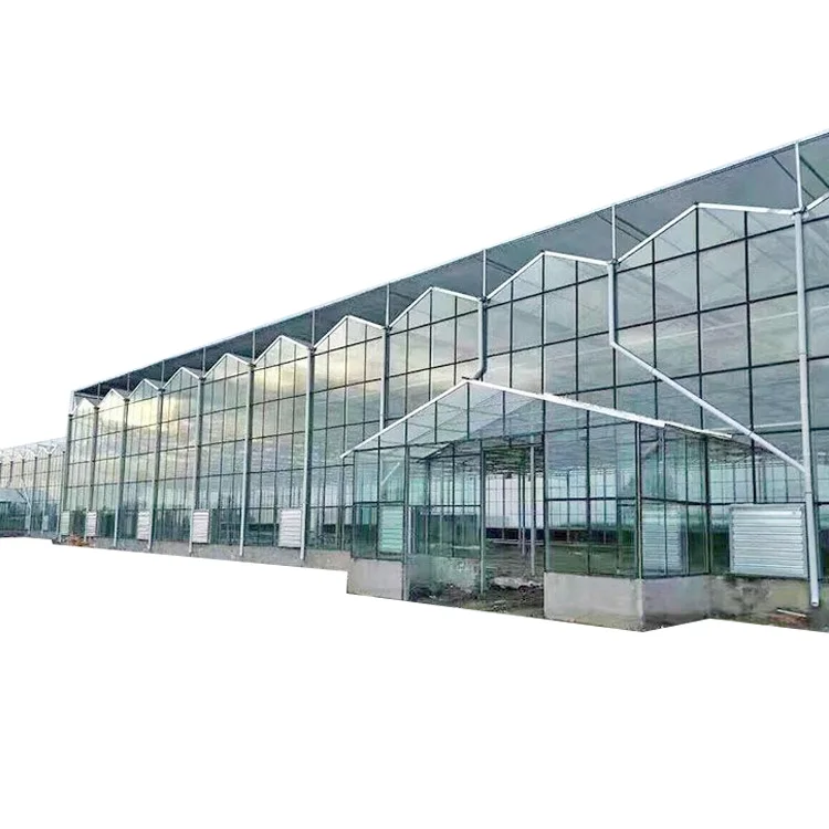 Automated Vertical Hydroponic Growing System Agriculture Equipment Used Smart Glass Greenhouses