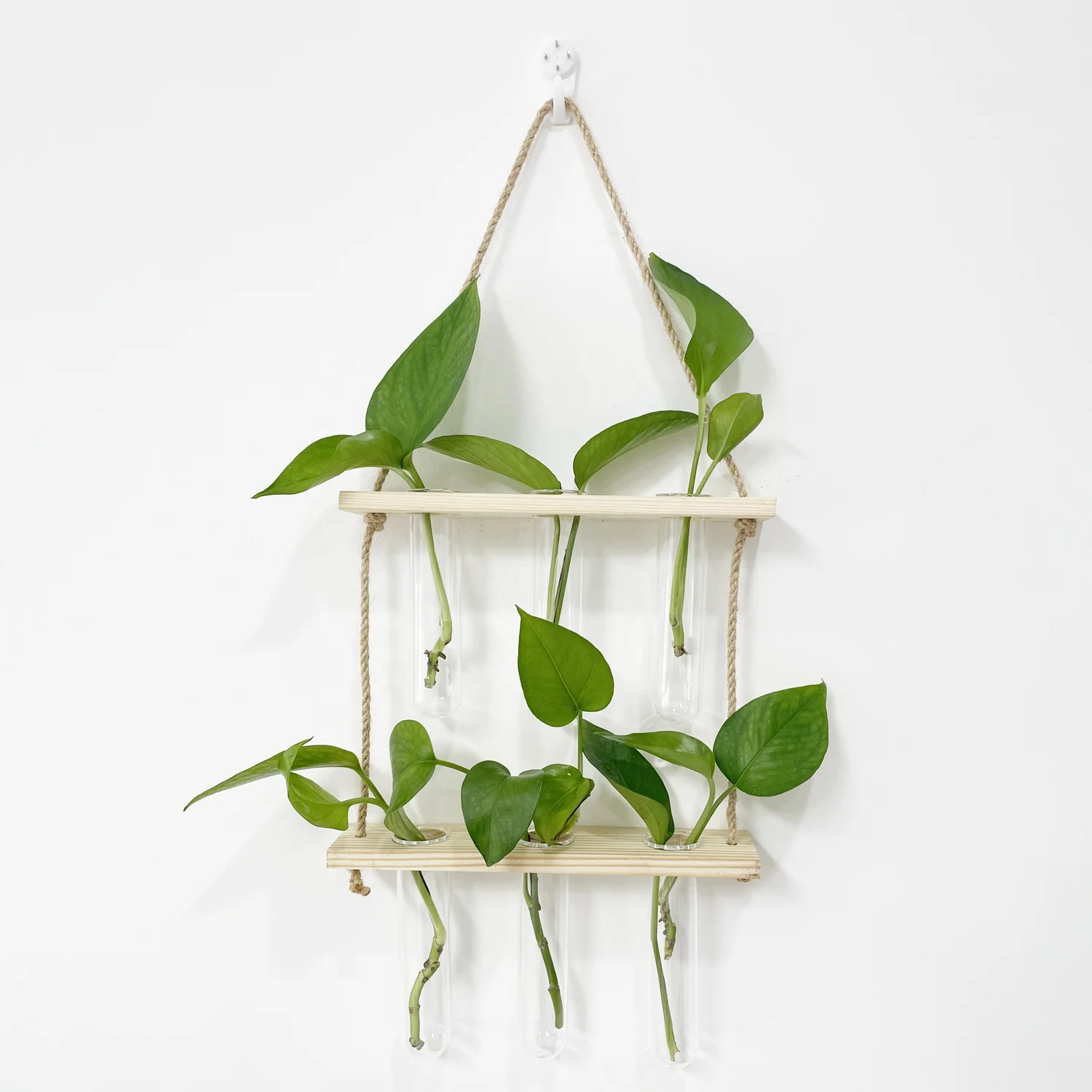 Sell Well New Type Clear Bud Trendy Mini Hydroponic Flower Glass Vases