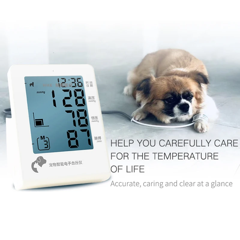 Wholesale Intelligent Type Electronic Blood Pressure Monitor for Dogs and Cats