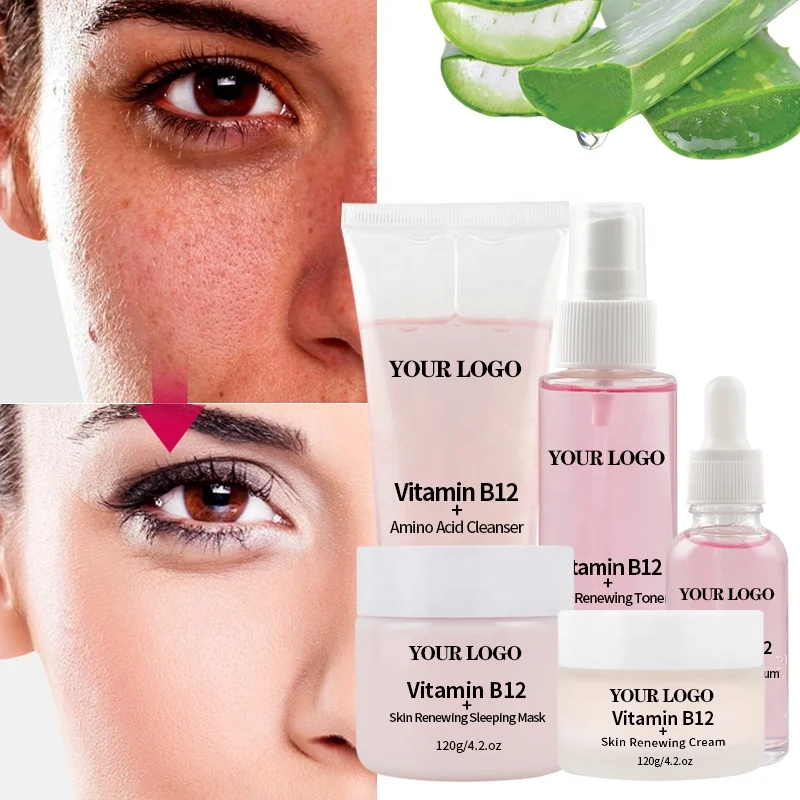 OEM Face & Body Beauty Organic Amino Acid Vitamin B12 Facial Skincare Kit Gifts Whitening Anti Aging Skin Care Set