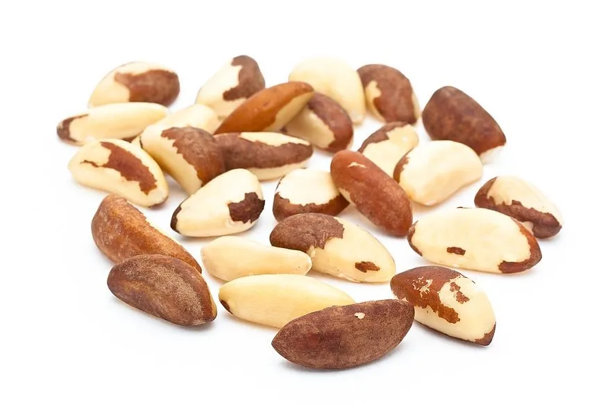 Brazil nut kernels - midget size - Shelled Brazil nut - Midget size grade between 160-180 nuts per pound