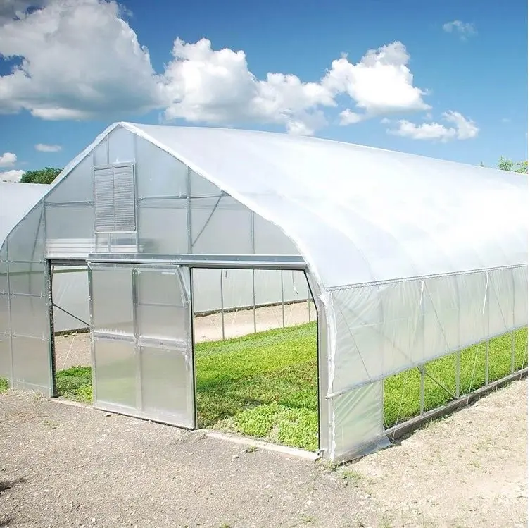 Commercial single span high tunnel agricultural greenhouse single arch shed frame for sale