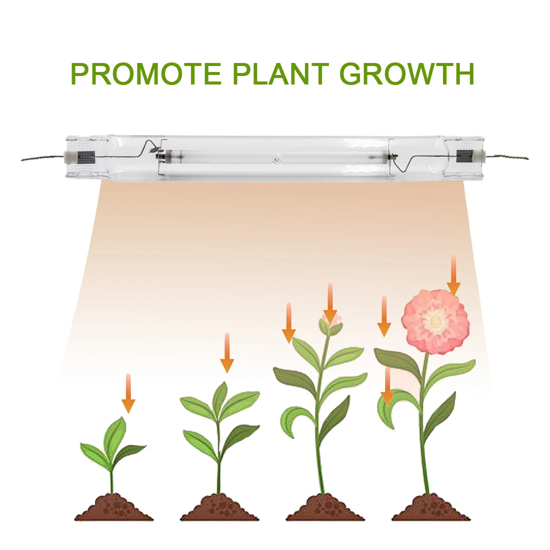 Canada In Stock Free Shipping HID HPS Grow Light ETL Greenhouse 160000lm 1000 Watt HPS Grow Light Hid Kit Lamps For Plants