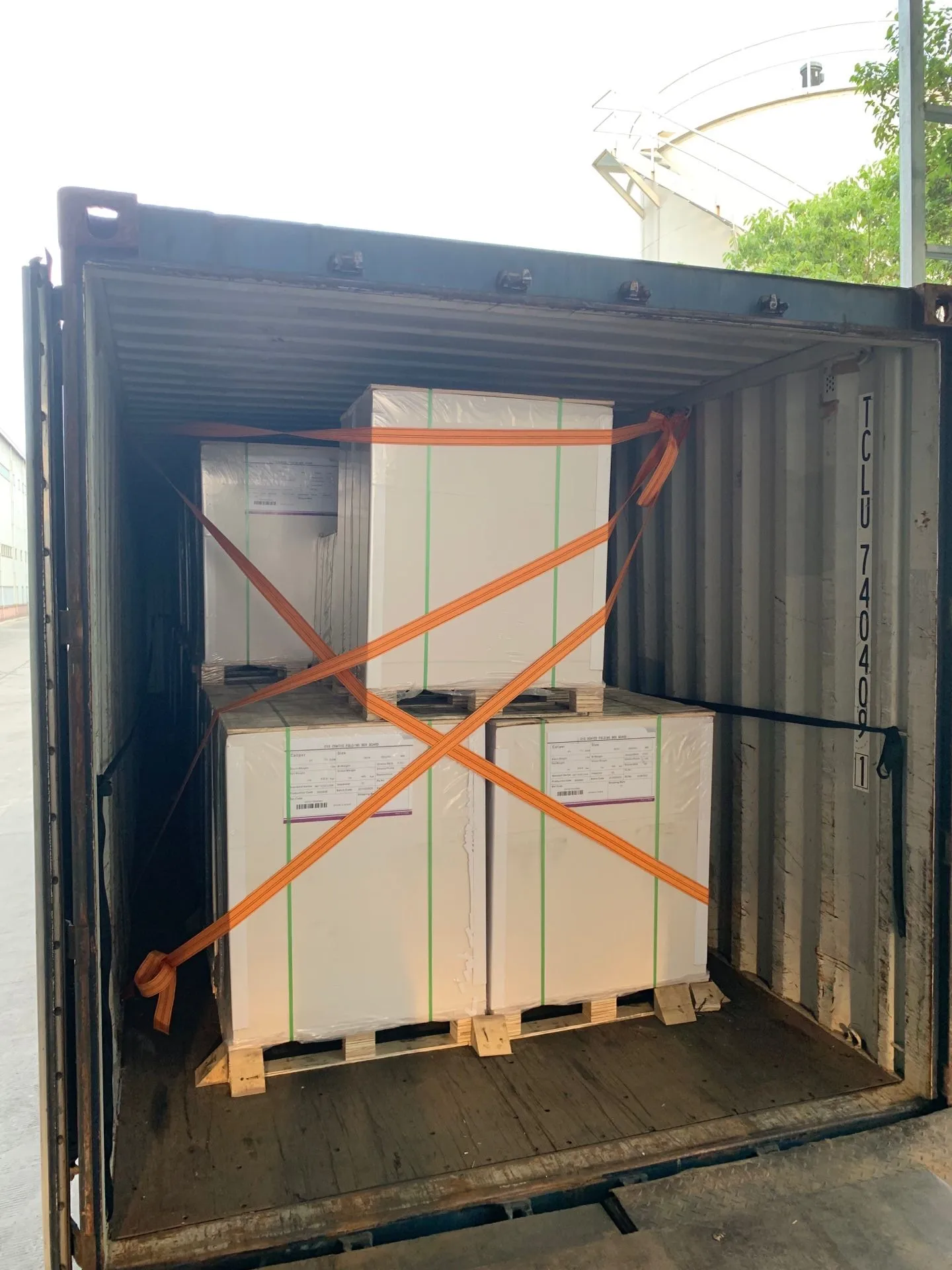 CHEN MING POPLAR FBB, POPLAR GC2,POPLAR GC1 SUPER