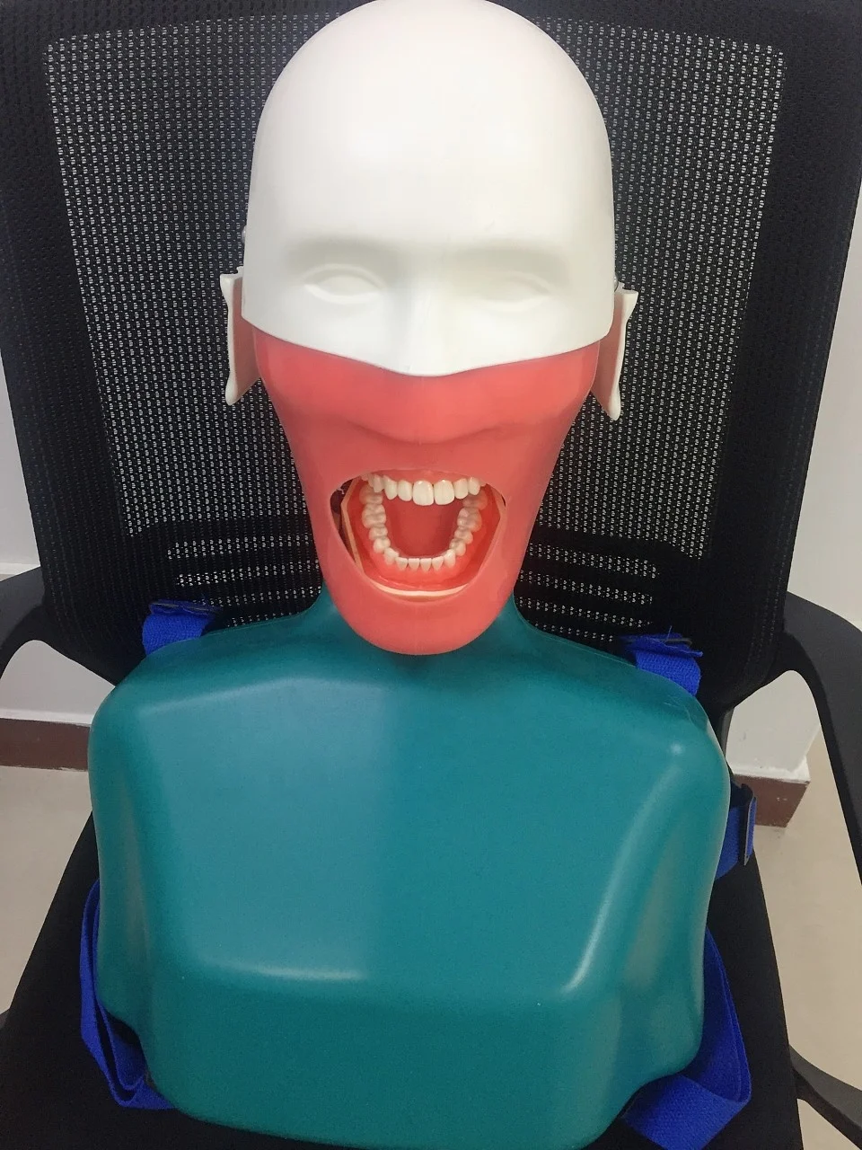 Dental Equipment Lab Educational Supplies Dummy Manikin Phantom Head with Typodont teeth model for Practice