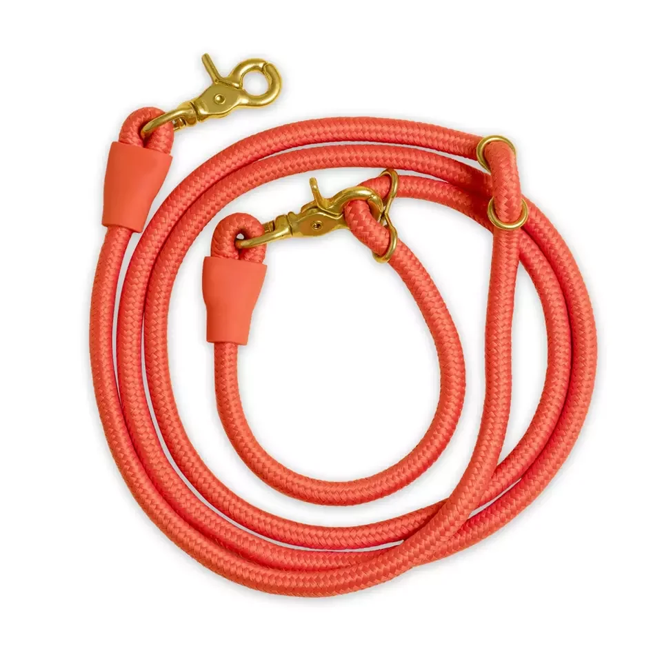 Adjustable Mountain Climbing Strong Nylon Rope Slip Lead Dog Leash Hand Free Dog Slip Lead with Heavy Duty Metal Sturdy Clasp