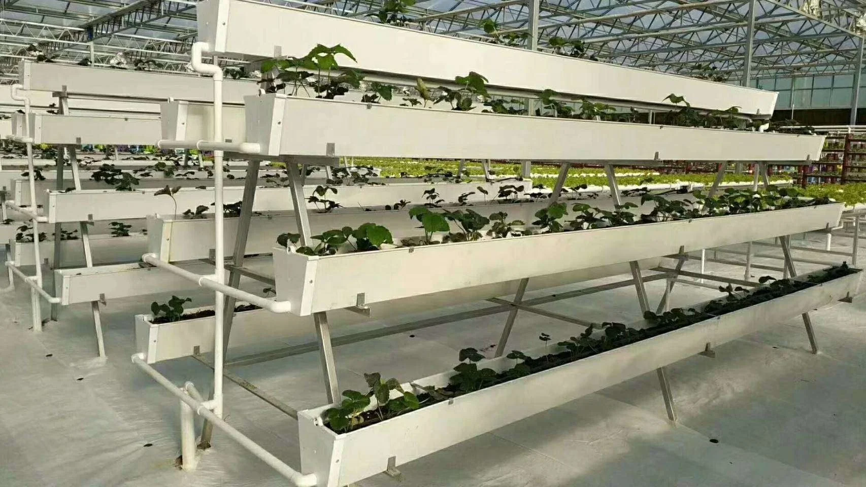 Food Grade NFT Vertical Hydroponic Gutter System Farming for Strawberry Tomato Substrate Trough Plants Greenhouse Tower