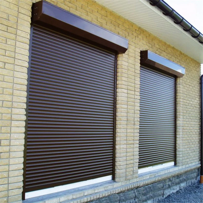 Modern Design Aluminum Alloy Volet Roulant Finished Door with Porte Roulante and Volet Graphic Design Solution Available