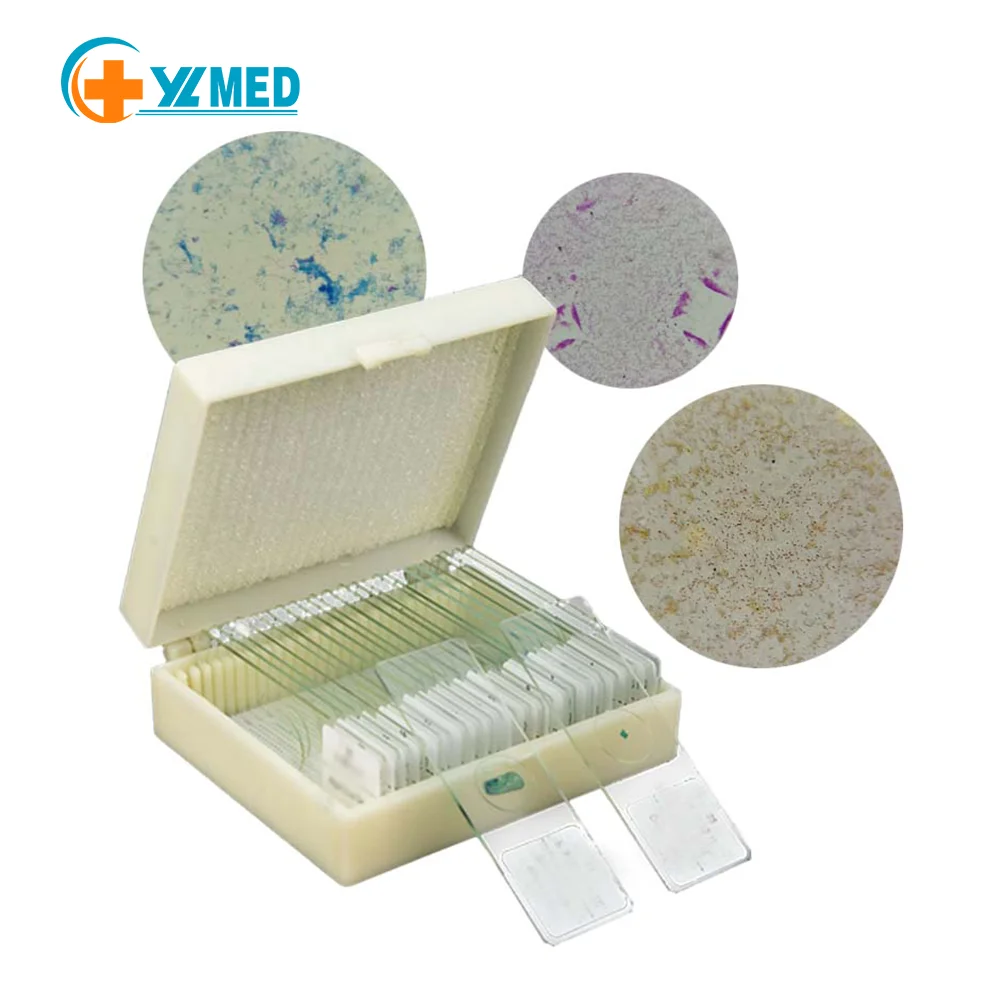 Glass Prepared Microscope Slides W/ Box for Biological Basic Science Lab