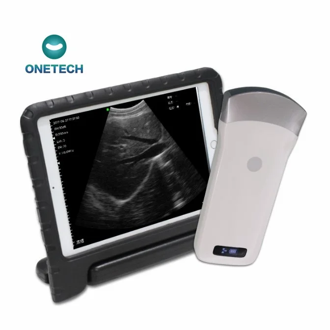 B19A кошки собаки лошадь корова беременность проверка Ветеринарный ультразвуковой абдоминальный выпуклый зонд