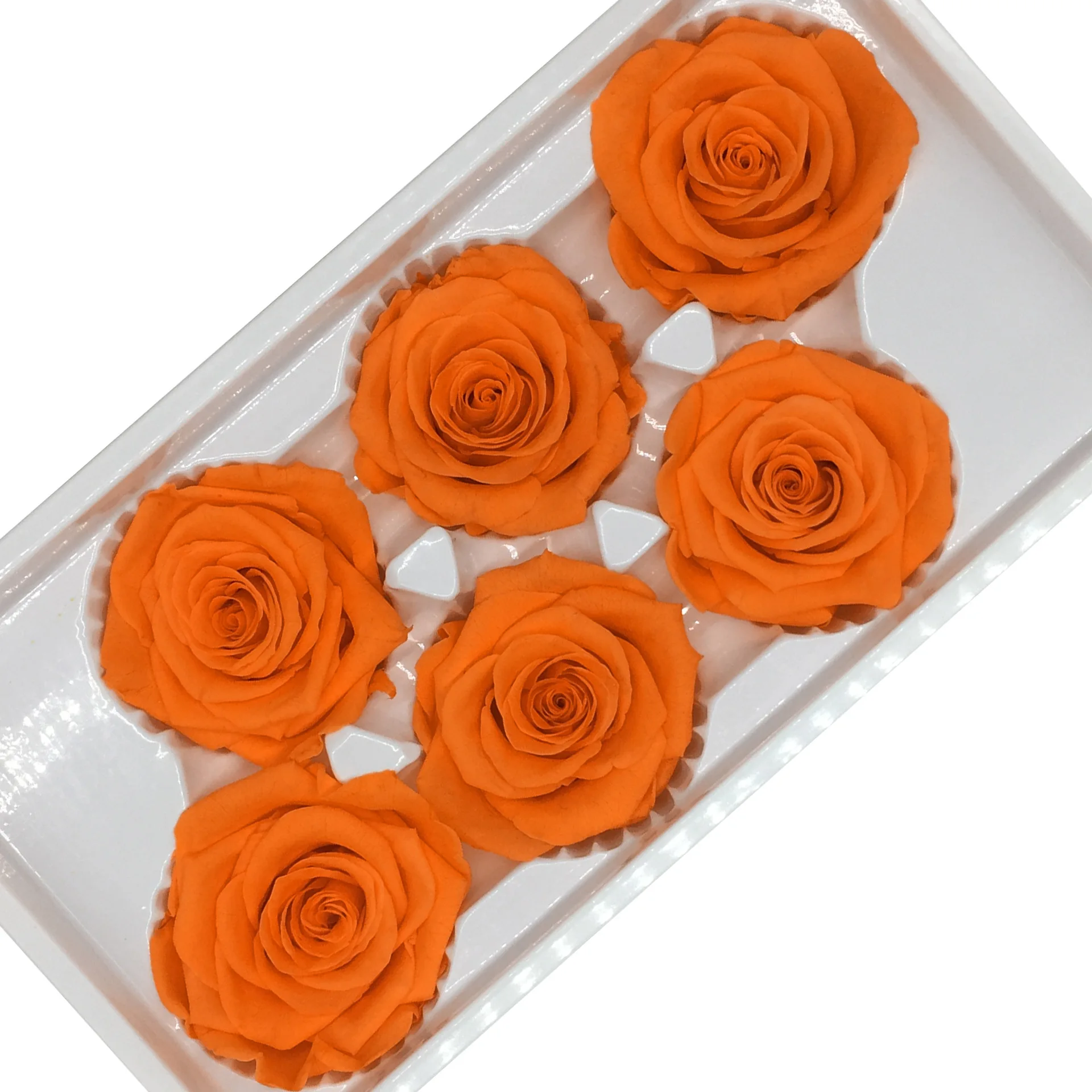 Sale Eternal Roses Bud Flower with 5-6cm Everlasting Preserved Dried Rose Buds for Gifts