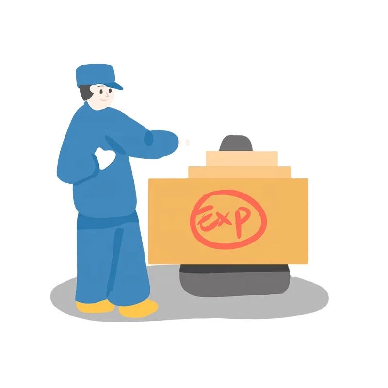 Китай Шэньчжэнь в Литву с экспедитором ddp amazon сервис доставки Чехию Францию