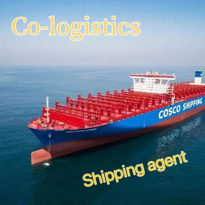 Ocean/air freight forwarder shipping agent  LCL service from China to Tbilisi Georgia