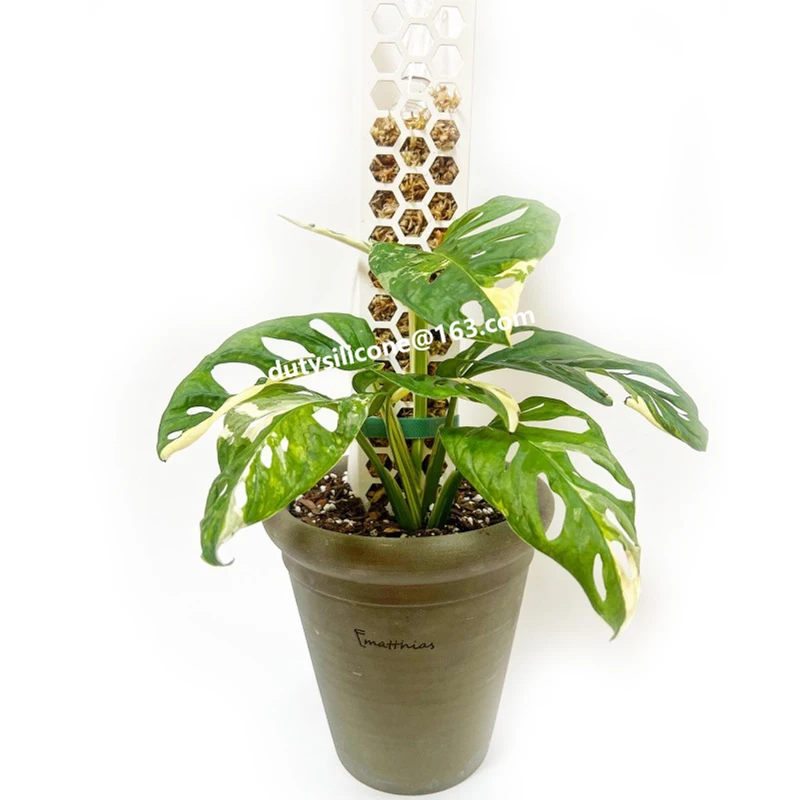 New Idea 2022 Plastic Plant bracket column for Climbing Plants Support for Indoor Plants Sphagnum stand Moss Poles