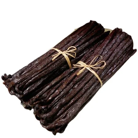 vanilla beans (1).png