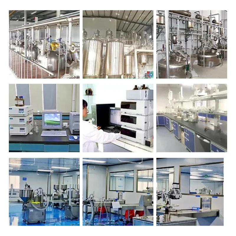 99.999% Organic Ge Germanium Sesquioxide Ge 132 Powder CAS 12758-40-6 High-quality raw materials for pharmaceuticals functional