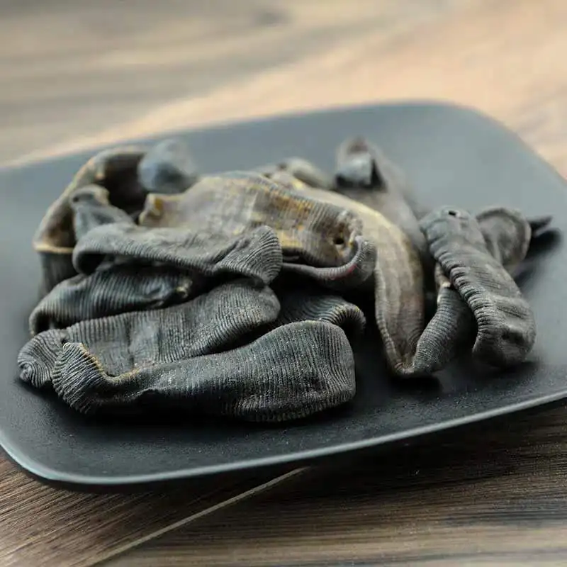 Free Samples Live Medicinal Medicinal-Leeches Medical Leeches