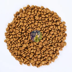 Best Selling Latest Innovative Pet Products Dry Cat Food