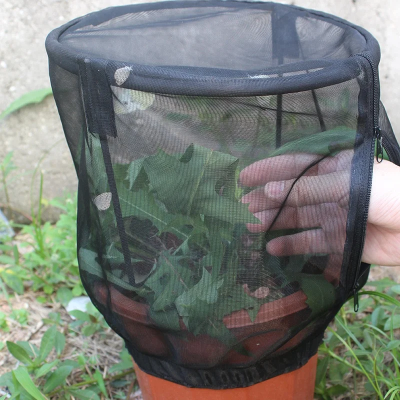 
Black Insect Net Shade Sails & Nets Flower Pot Nets 