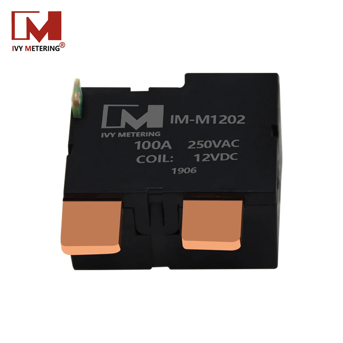 IVY Metering Smart Meter Remote Control Switch 100A 250VAC 12V Coil Bistable Motor Latch Relay