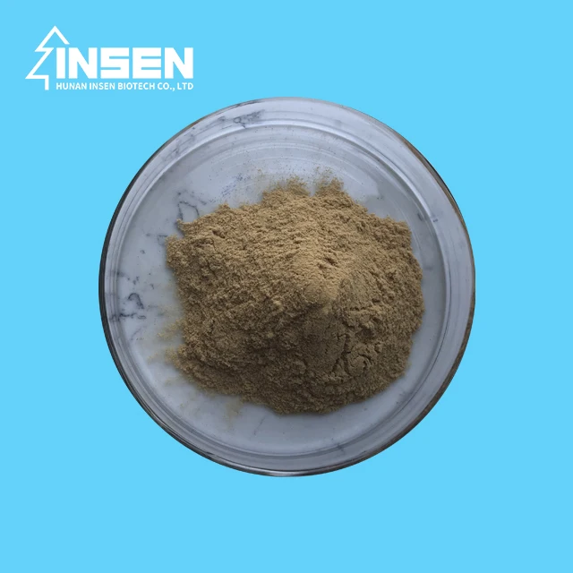 Factory Sell Good Quality Ginseng Extract