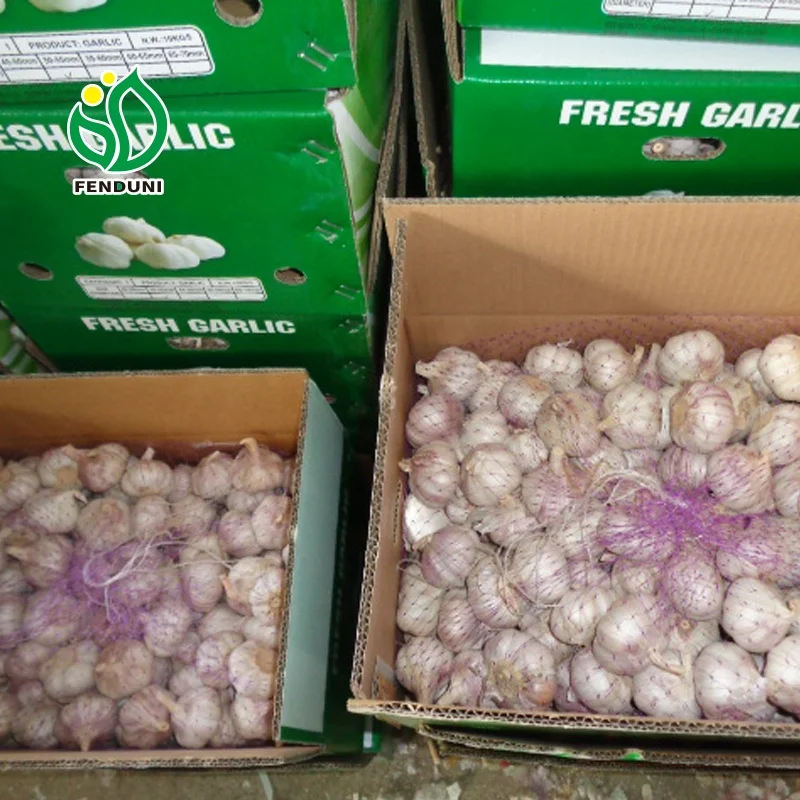 China/Chinese Good Garlic for Mali market 10kg/box 50mm/55mm