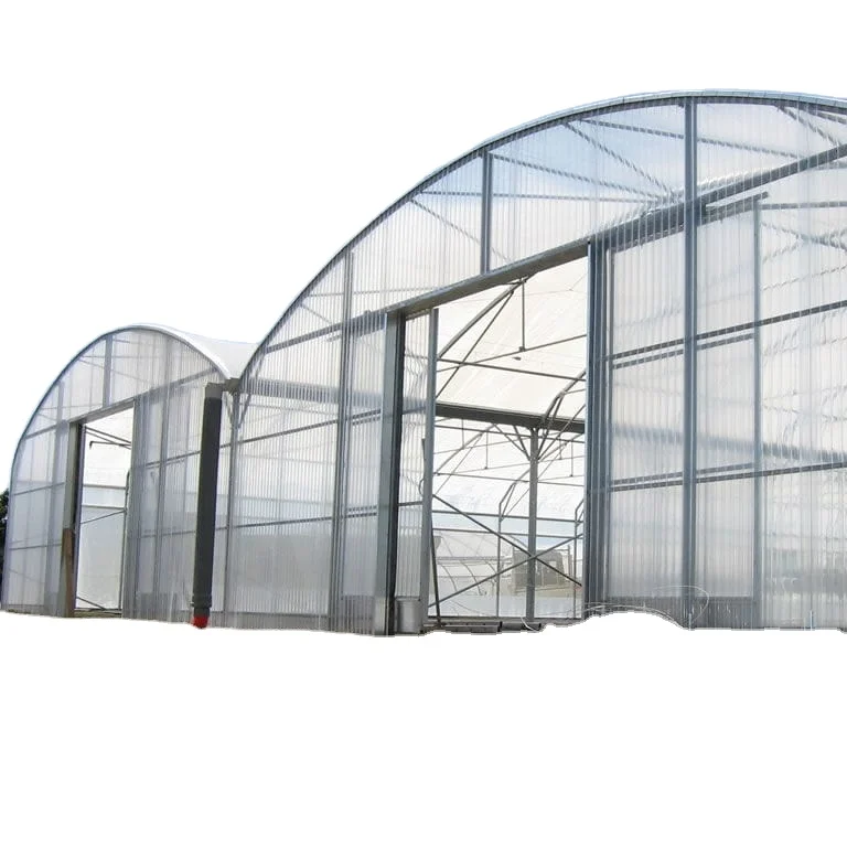 MYXL Agricultural Commercial Medical Plant Growing Easy Installation 8mm Polycarbonate Greenhouses