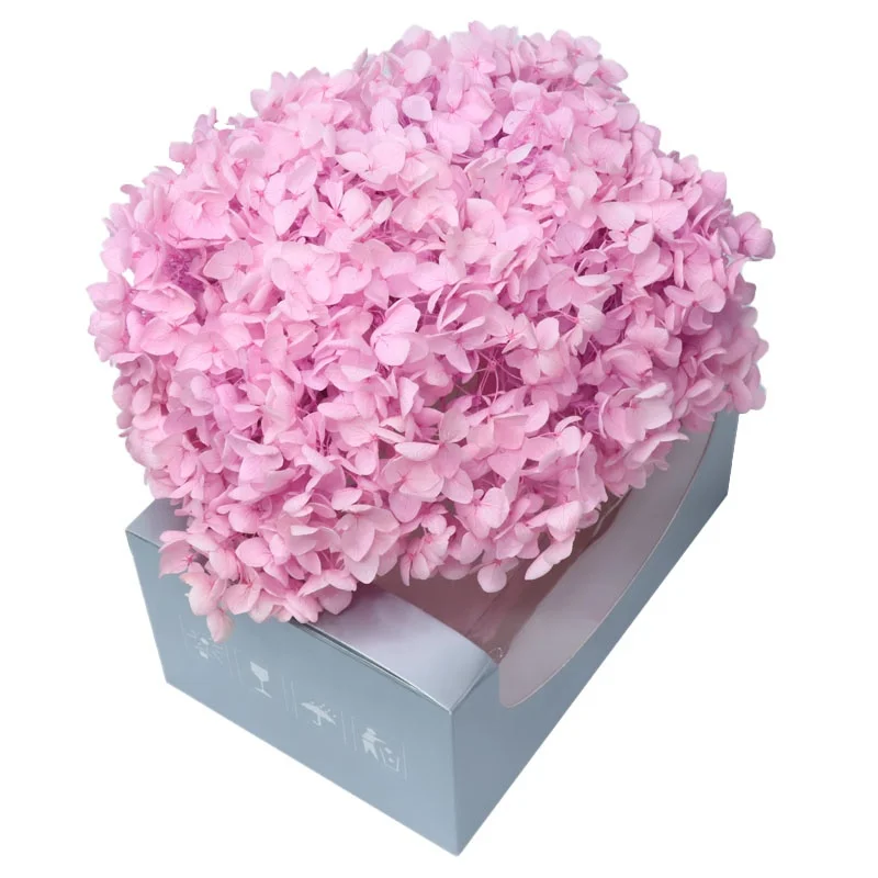 Hot Selling Manufacture Natural Preserved Flower Dried Flowers Hydrangea with best Price for Home Wedding Decor white hydrangea