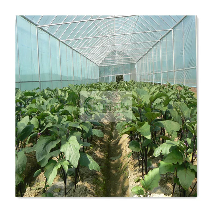 8x30 м Подержанный томатный туннель для теплиц оросительная садовая промышленная палатка пластиковая пленка конопляная Солнечная Однопролетная теплица