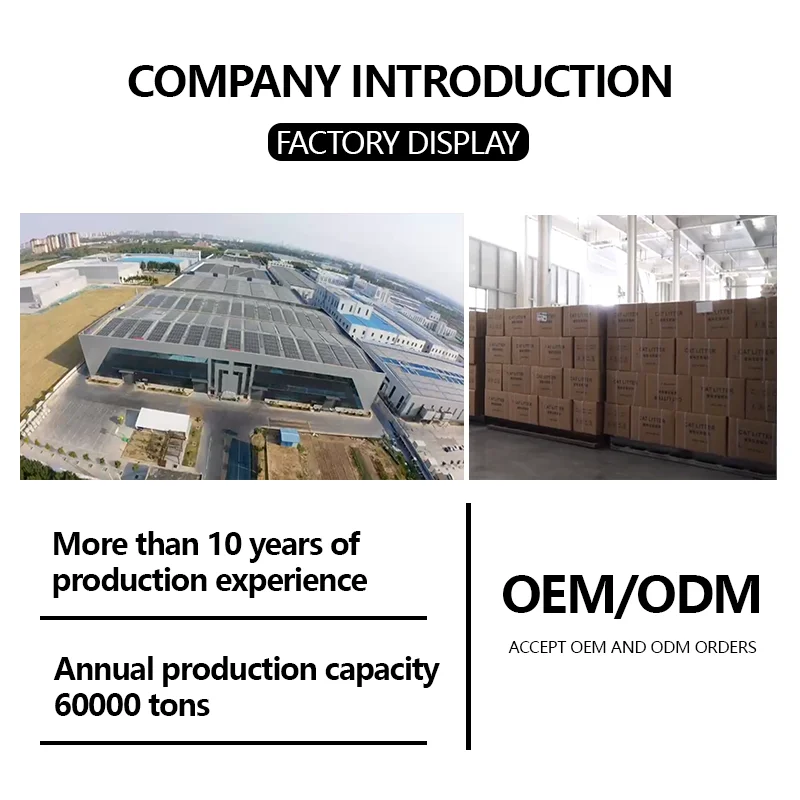 Top Selling Products 2024 Freeze-Dried Pet Snacks Freeze Dried  Chicken Breast Meat Cube Freeze Dried Pet Snack