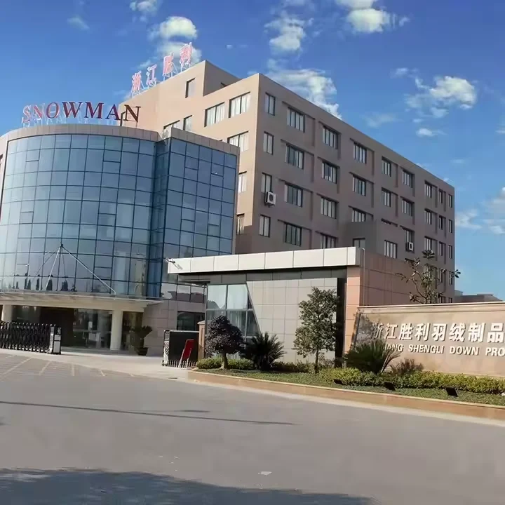 Washable Luxurious Silk Pillow Case Soft Breathable Silk Pillow Case 100% Silk Material Feather Down Throw Pillow