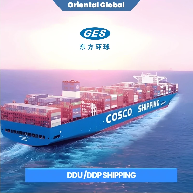 cif sea freight forwarder china to US