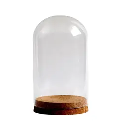 Hot Sale Cheap Large Glass Cloche Dome Bell Jar Display Stand Cover Terrarium Bottle with Cork Base for DIY Decor Glass Dome